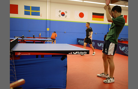 WCTTA features Butterfly tables