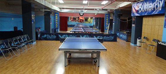 New York International Table Tennis Center