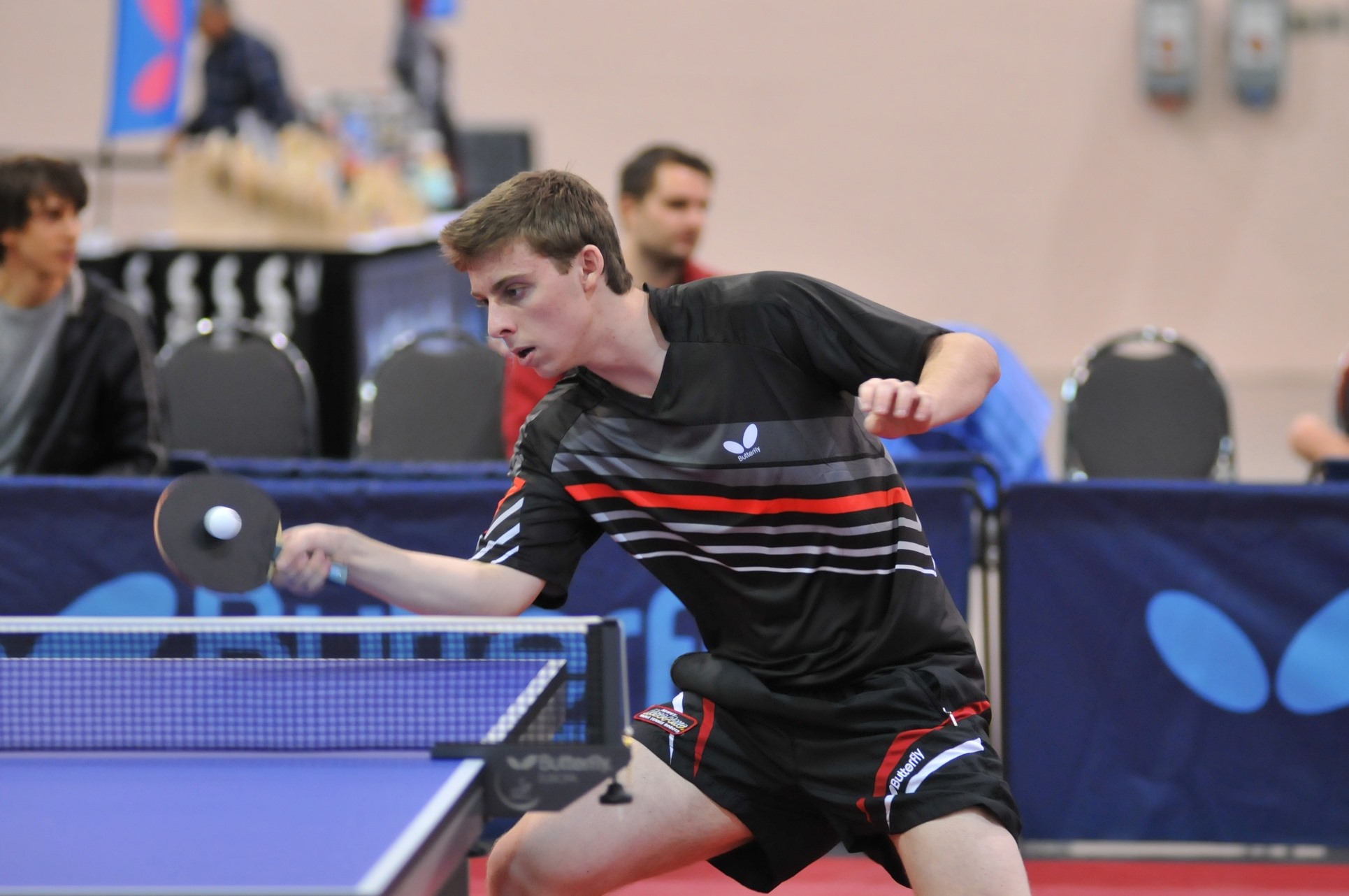 2016 Butterfly Teams Tournament: Join the Excitement