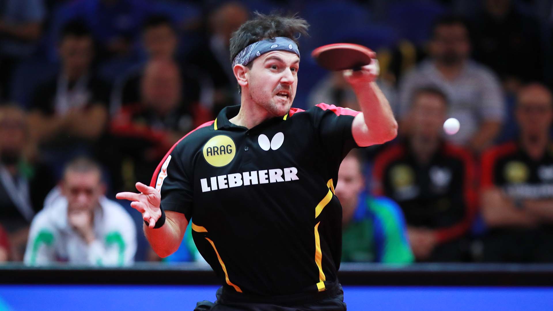 Home supports Timo Boll but can it work the magic in Magdeburg?
