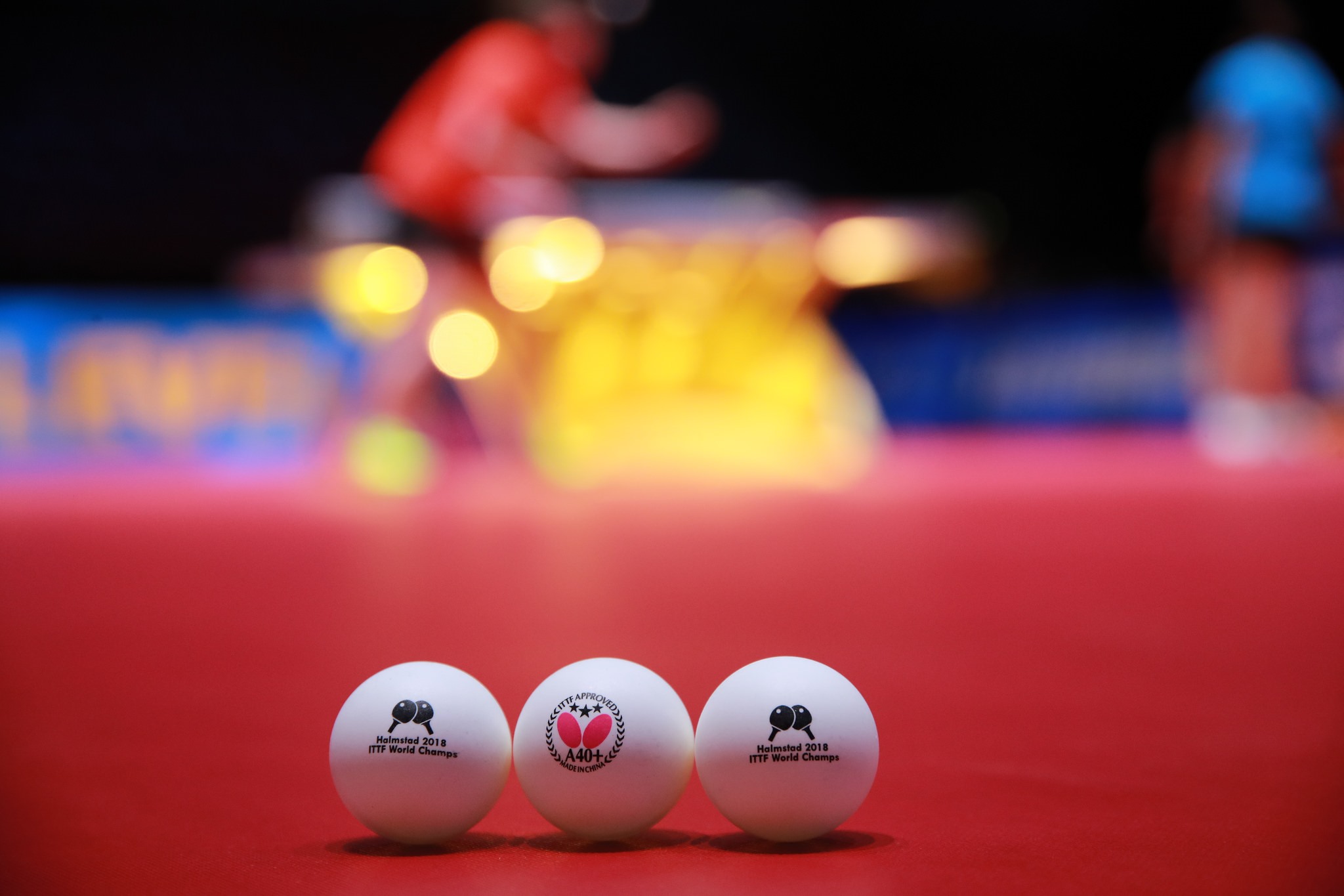 A China Sweep, Sweden and England Headline for the Men and Two Koreas Show the Power of Sports