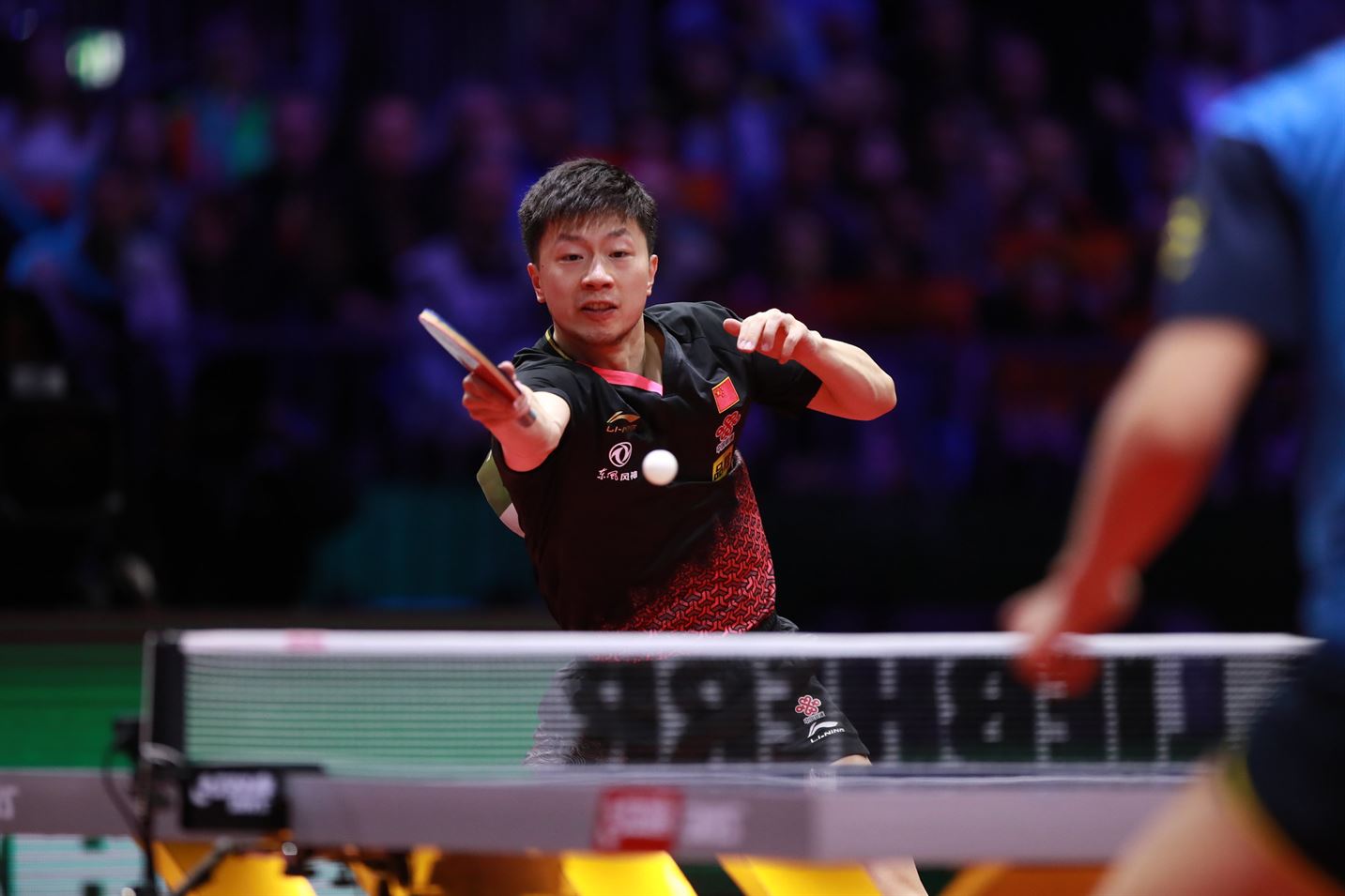 2019 World Championships Review