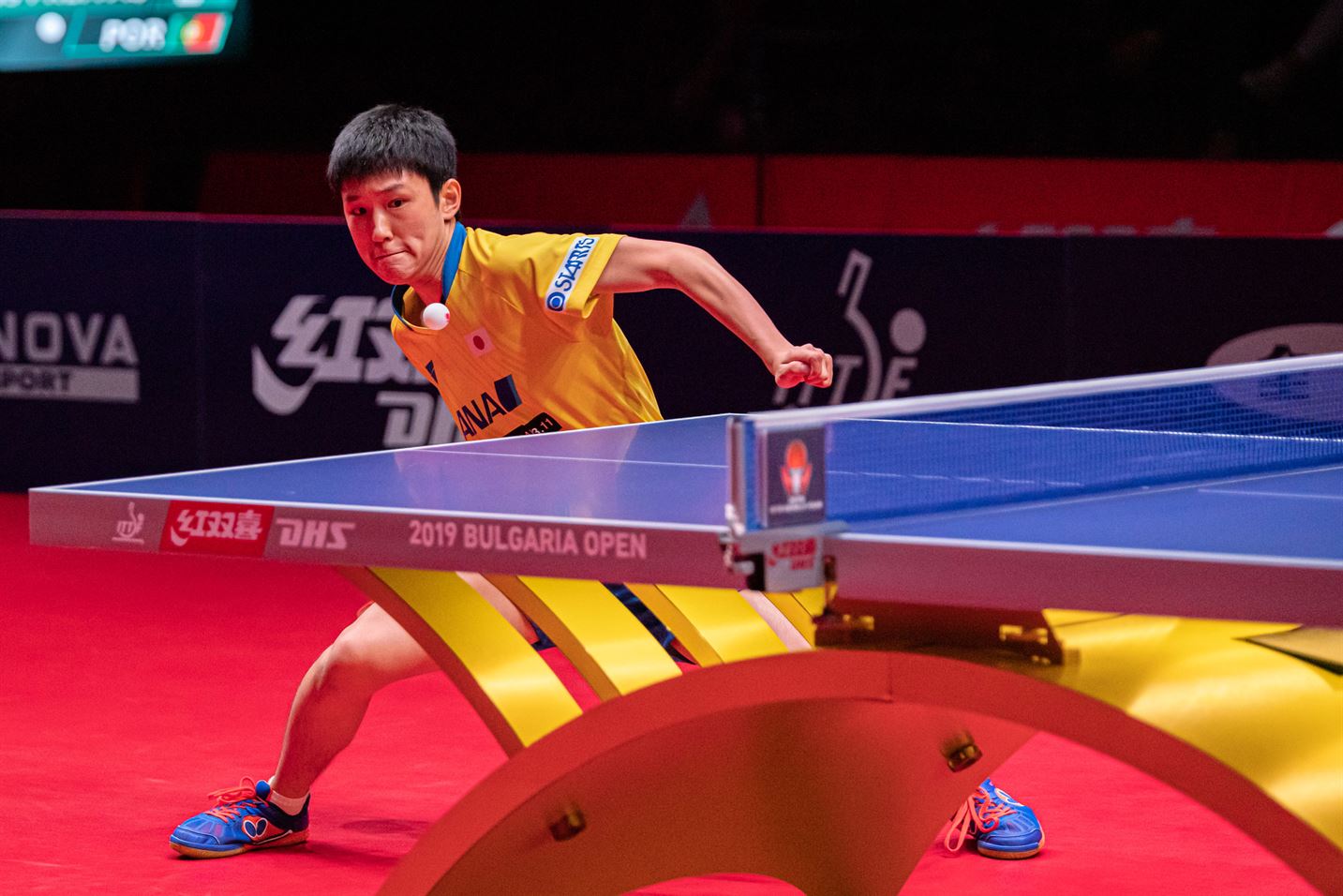 Bulgaria Open Recap: Harimoto’s First Win of 2019