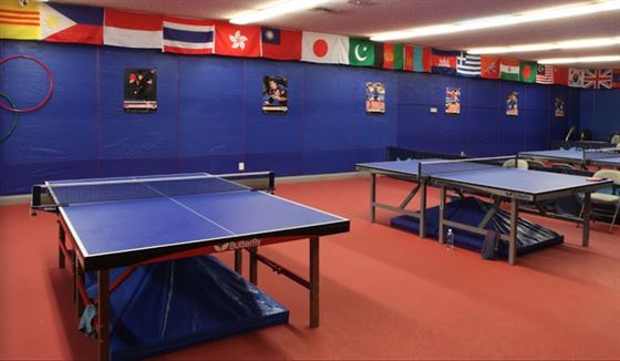 Allen & Sons Table Tennis Club