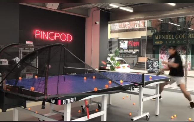 Butterfly Buzz: A Tour of the PingPod Facility