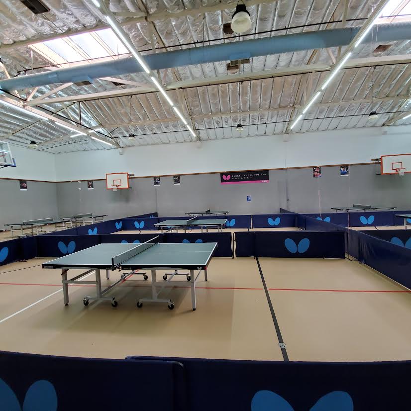 WAB CLUB FEATURE: Alameda Ping Pong Gym