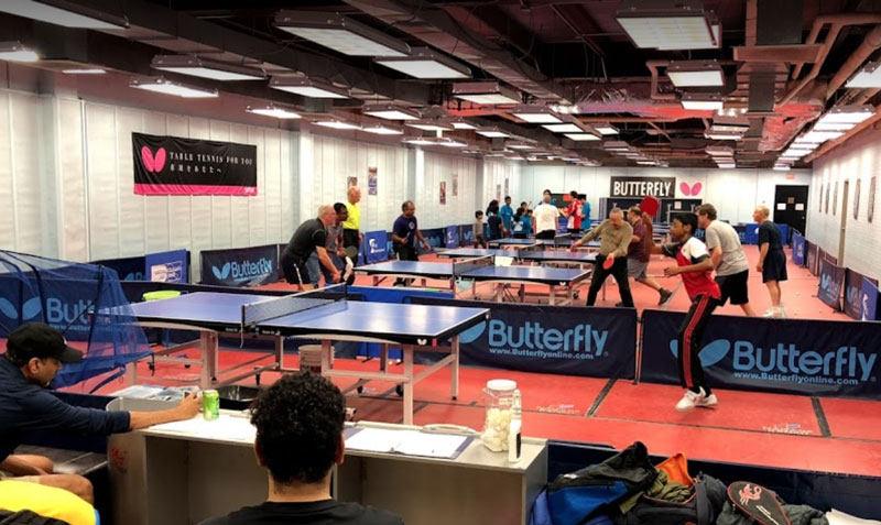 Table Tennis Minnesota
