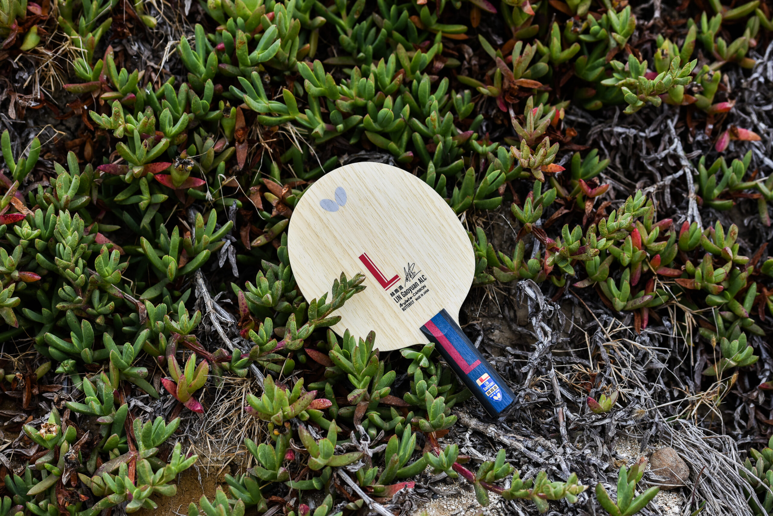 Lin Gaoyuan ALC Blade