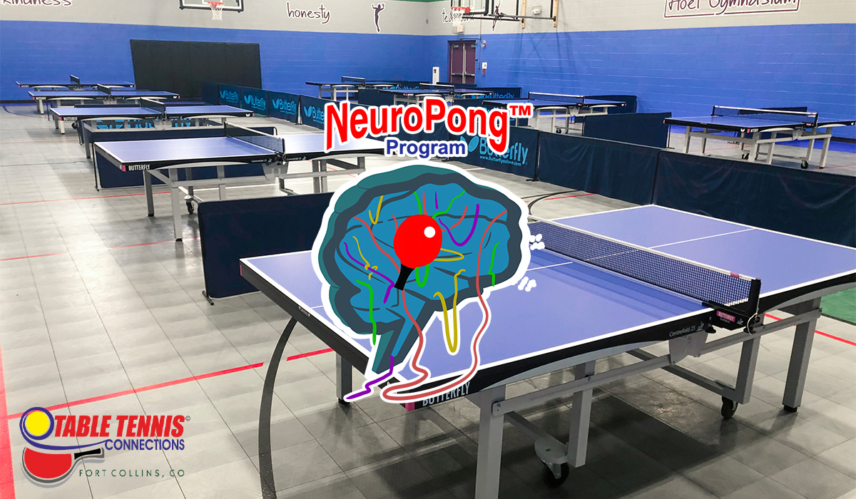 NeuroPong Program