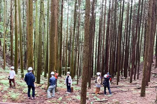 Butterfly employees visit a forestry site.