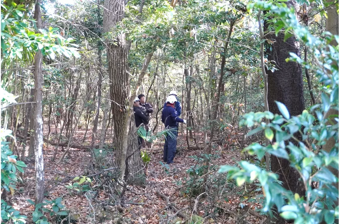 Butterfly employees visit a forestry site