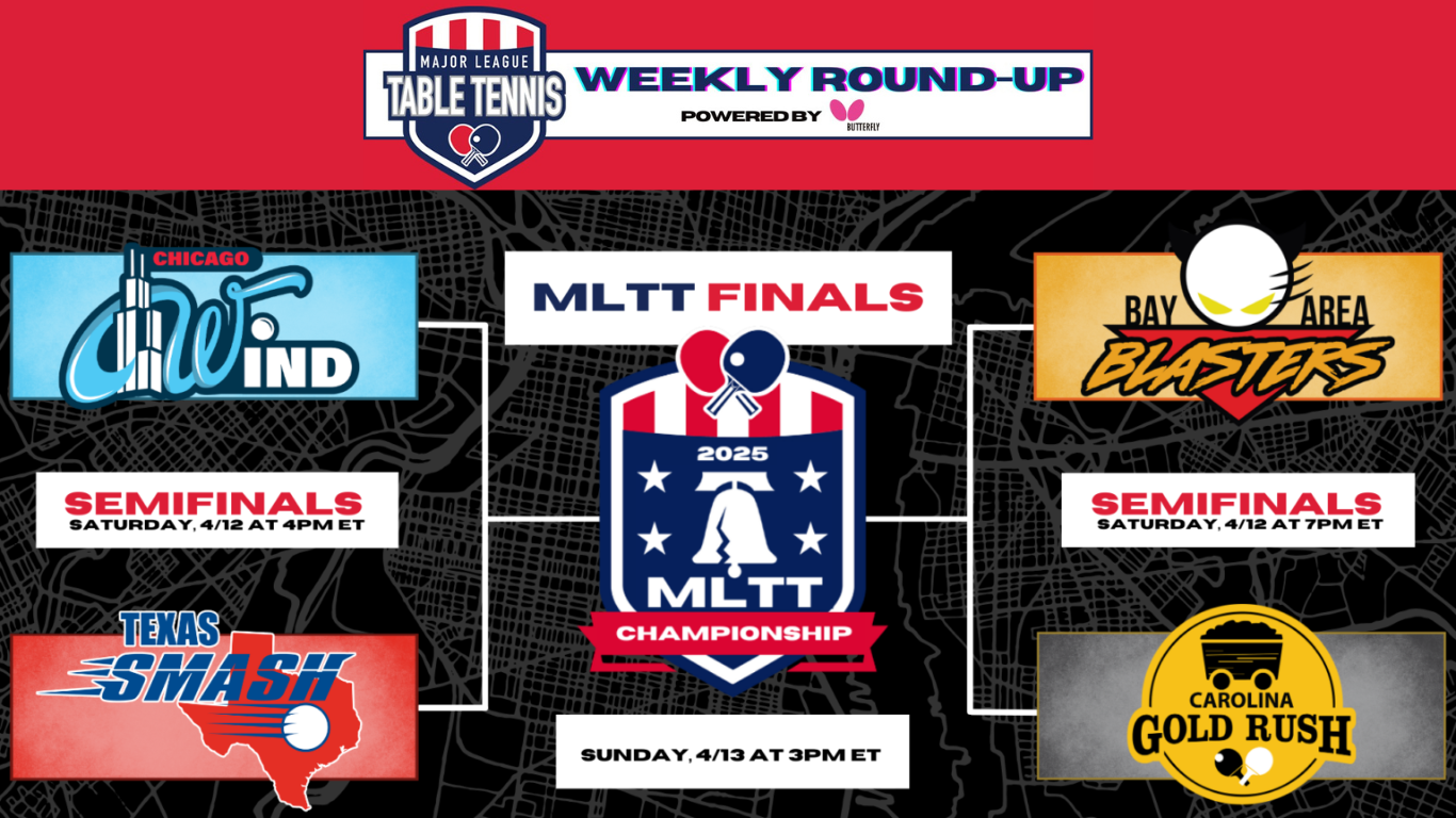 Mltt web portada