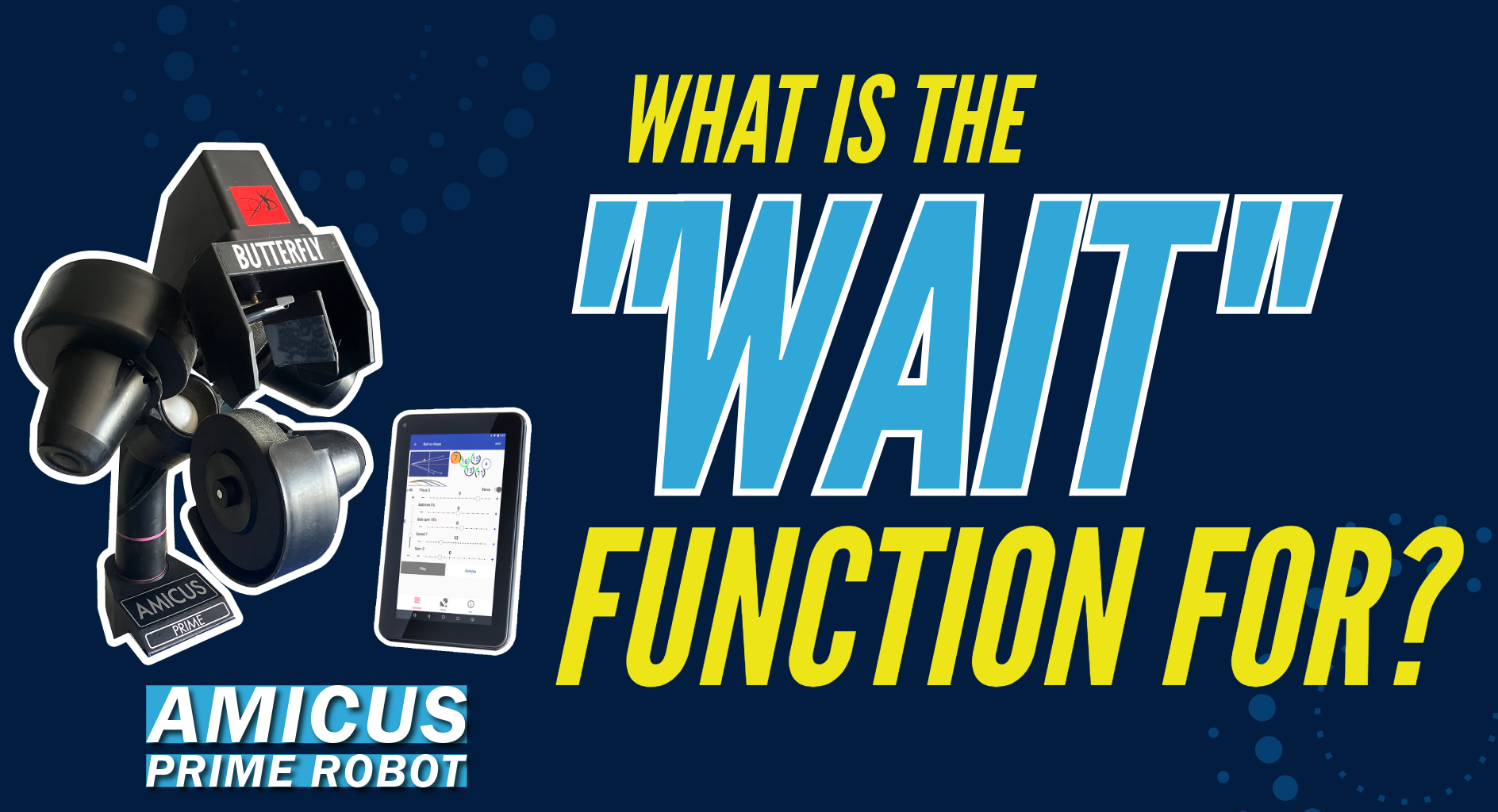 What is the 'WAIT" function for?